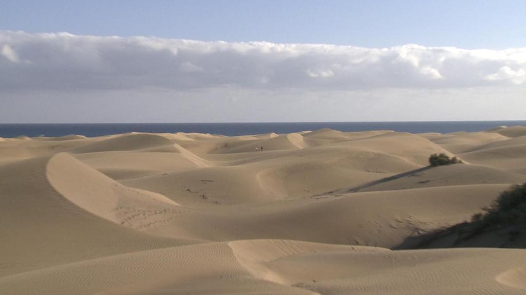 Club Torso Gay Men Only Hotel Maspalomas  Exterior foto